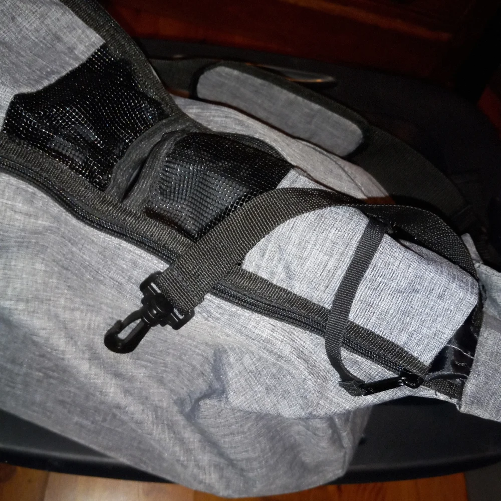 Small pet carrier